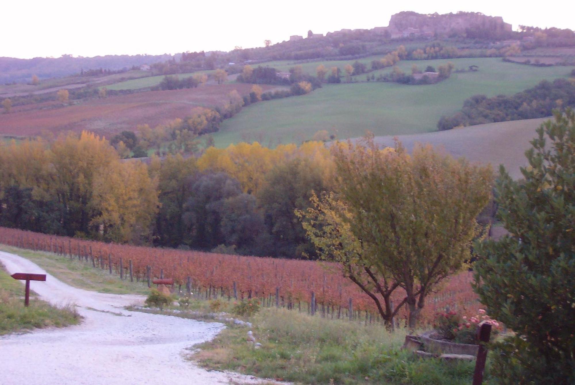 Agriturismo Cioccoleta Orvieto Exterior photo